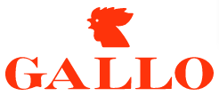 Hahn-Logo