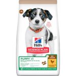 5 % de réduction Hill's Science Plan No Grain Hill's ... Dogtore