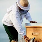 Sconto 8% Guerlain abeille royale double r renew & ... Profumerie Griffe