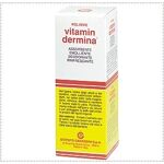 22% de desconto Vitamindermina Pó 100 G Farmaviva